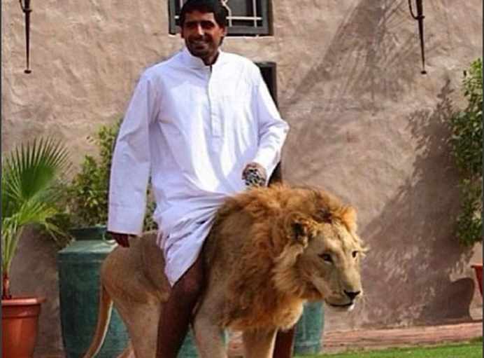 国产精品国产片在线观看