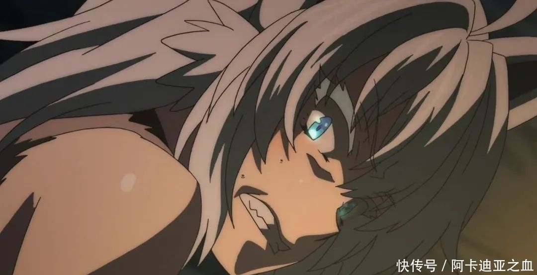 四川卓才智汇科技有限公司 招标