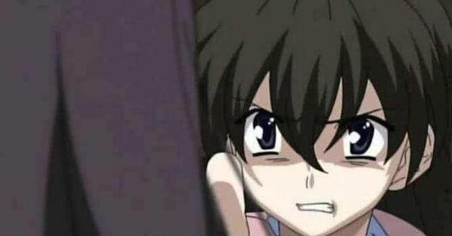 小马拉大车每日