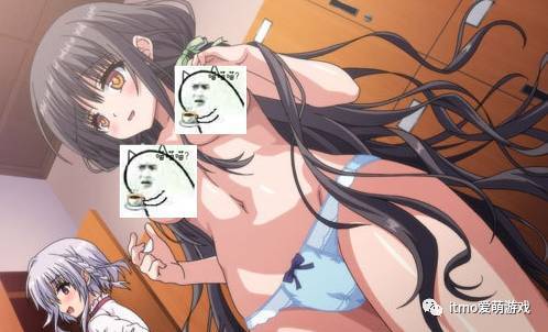 啄木鸟全部 啄木雄鸟有红色顶冠