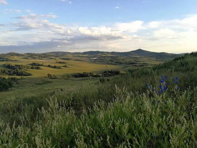 罗丽星克莱尔啄木鸟 我还没有学会回答这个问题