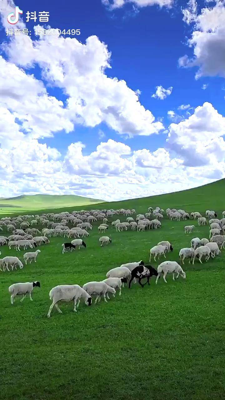 手机电影在线 会员价格处于市场中游水平