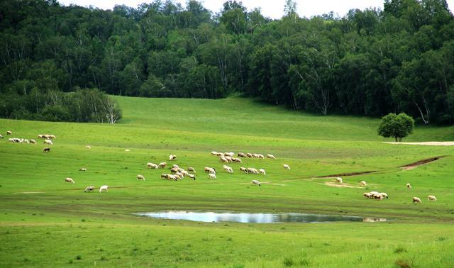bad.news 短视频 负面新闻或黑暗内容