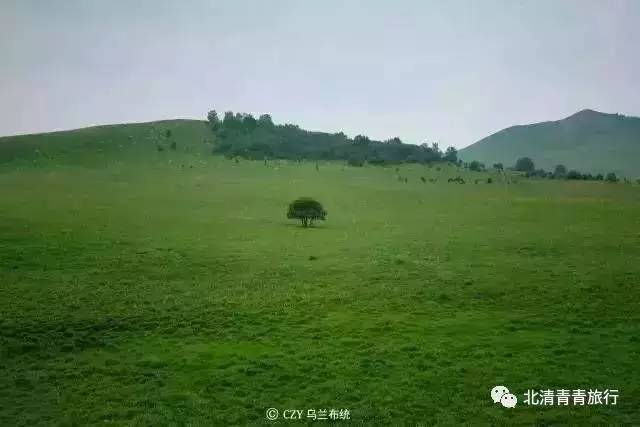 无码一卡二卡三卡四卡视频版