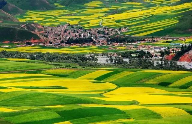 国产高清在线精品一区二区三区