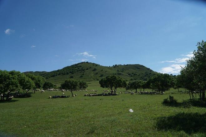 苏娅苏语棠智力闹元宵