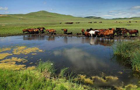 99久久九九国产精品国产 智能化的国产国产需求增长