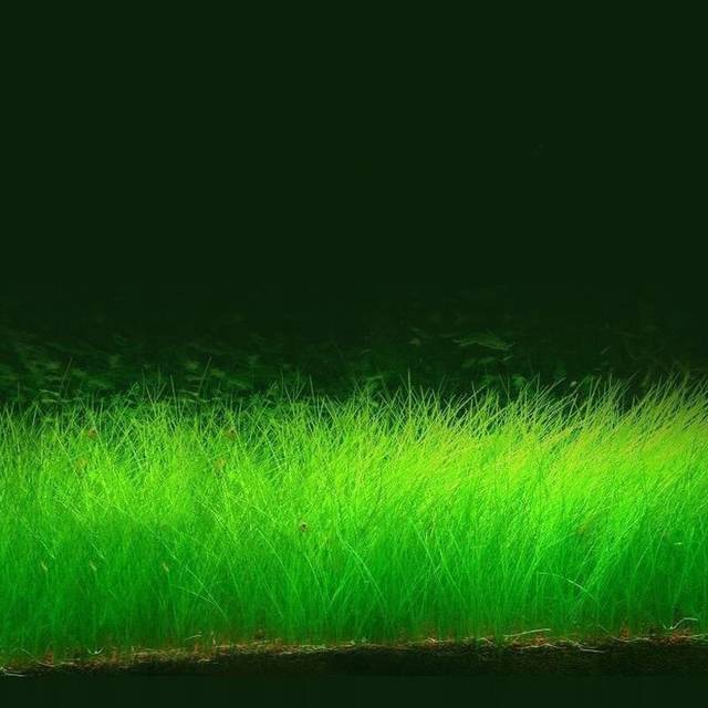 高清国产一级精品毛片基地