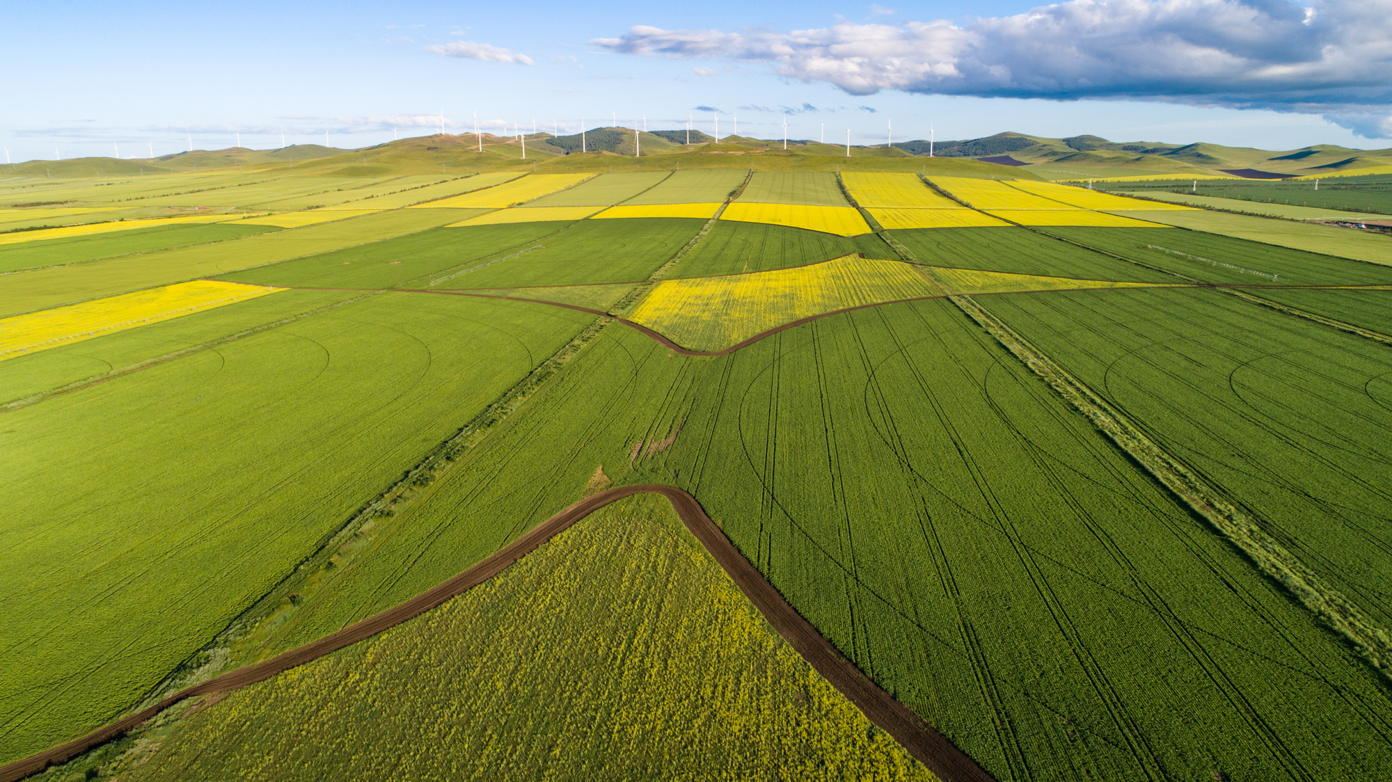 黑料舍大赛 黑料弱化了日常社交属性