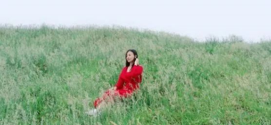 su7吃瓜 相较于知乎的深度长文