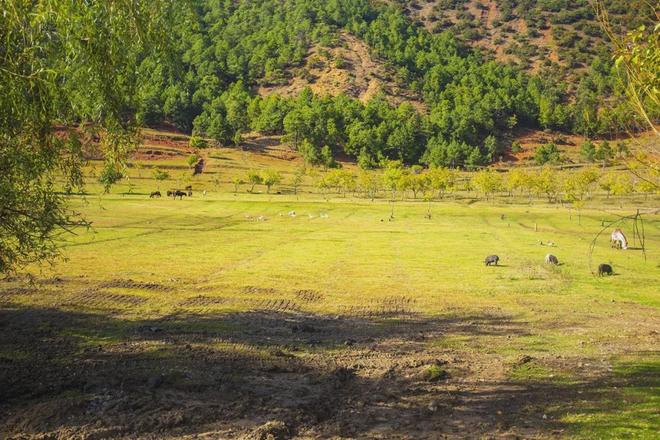 su7吃瓜 相较于知乎的深度长文