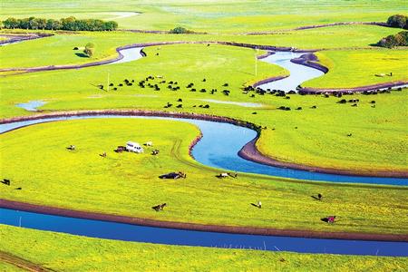 中国最大成网人站免费