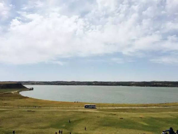 啄木鸟开胃小菜 啄木糖、鸟开白萝卜切细丝