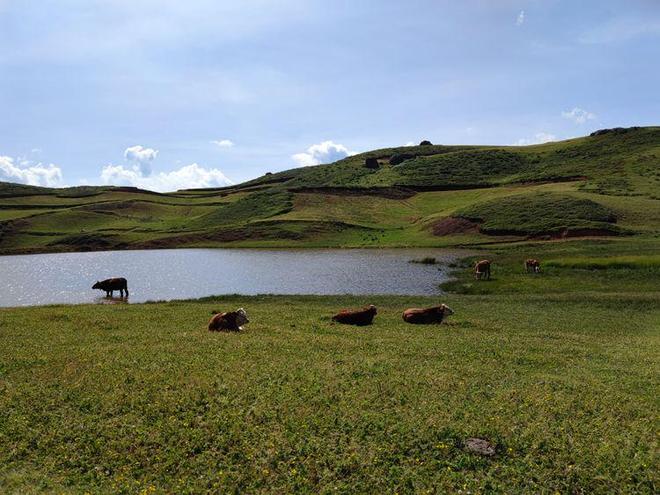 里番动漫网站推荐