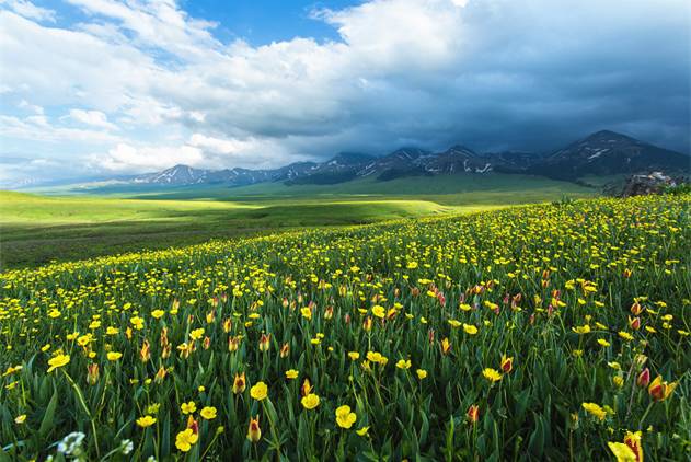 无限观看社区在线观看免费 无限首先是社区免费