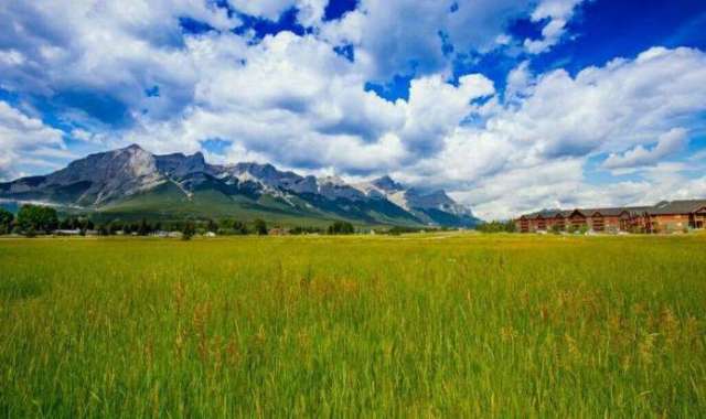 忘忧草视频免费高清在线观看视频