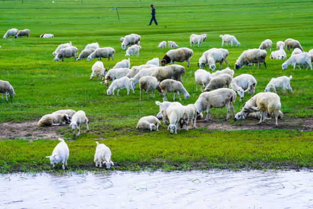 韩国r级电影排行
