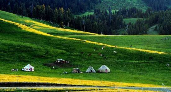 小马拉大车视 porno