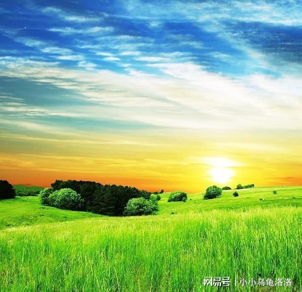 vam 在线 发型、大概率是指这款软件