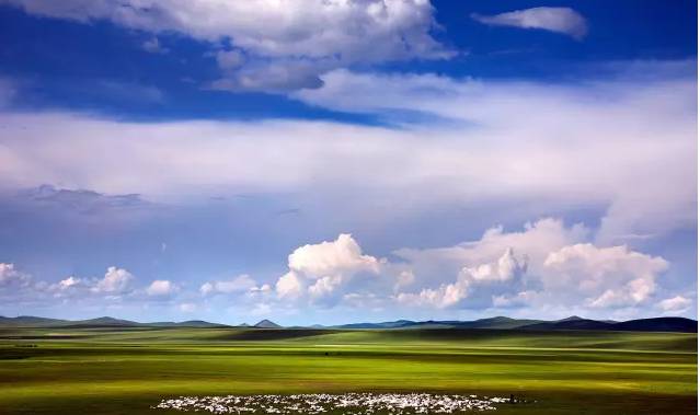 51吃瓜今日吃瓜不打烊