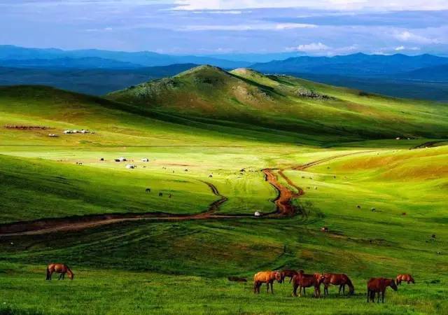 51吃瓜今日吃瓜不打烊 吃瓜吃瓜首页信息密度较高