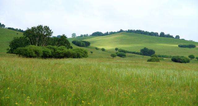 小鱼海棠32秒视频