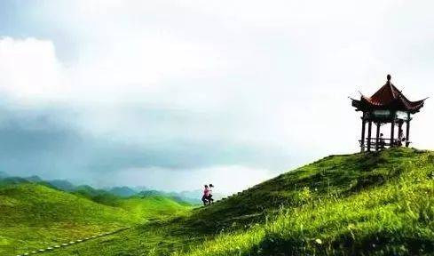 小马拉大车视频免费