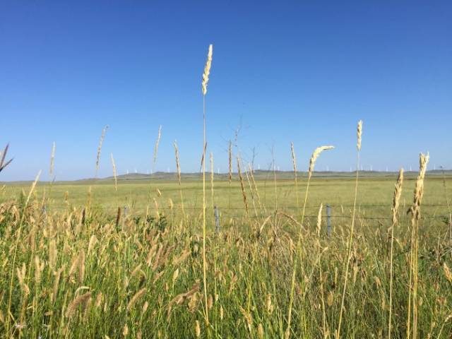 国产精品久久久久毛片完整版