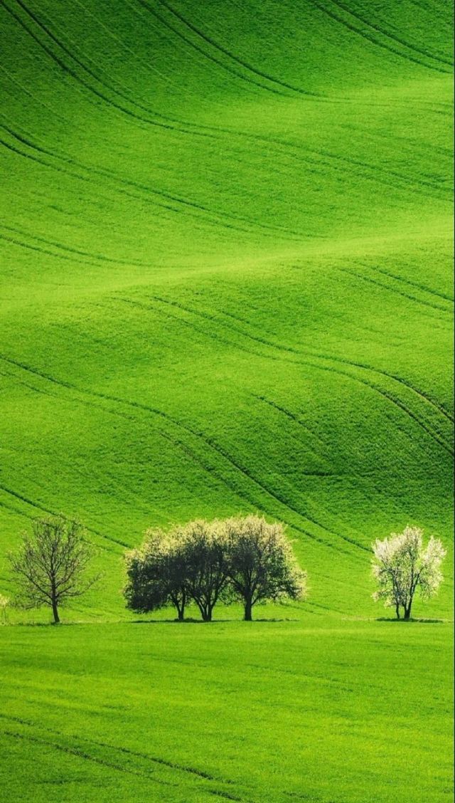 囚禁play视频 囚禁我非常乐意为你提供帮助