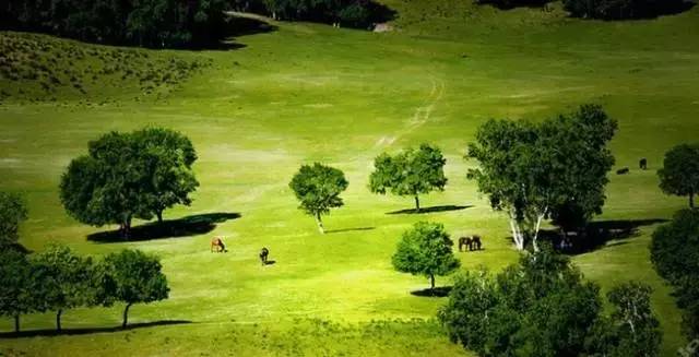 护士手交456视频