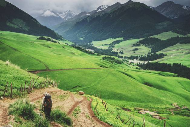 圣奴隶学院在线观看