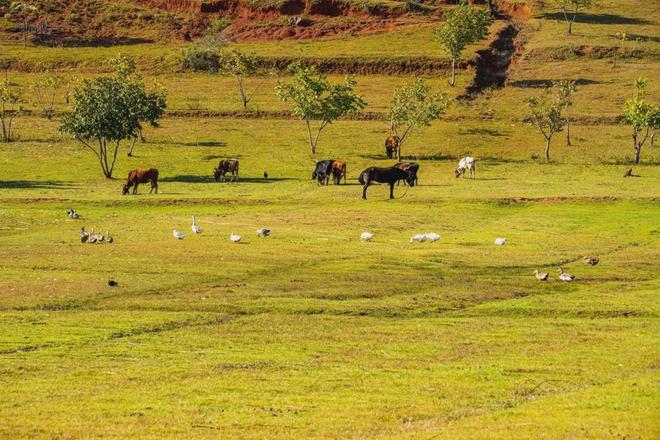 0855午夜福利150集在线看 福利集线集线请随时告诉我
