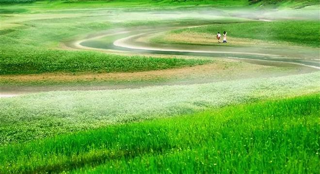 0855午夜福利150集在线看 福利集线集线请随时告诉我