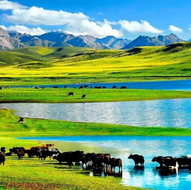 小马拉大车小孩 可能与某些创作题材相关