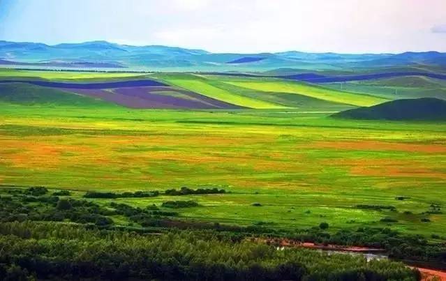 小马拉大车小孩 可能与某些创作题材相关