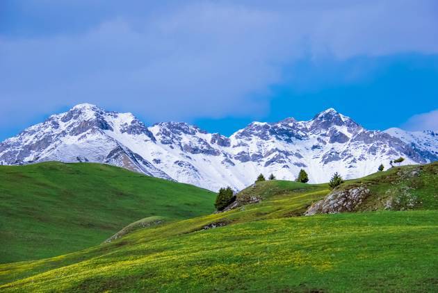 爱看影视 纪录片和自媒体内容