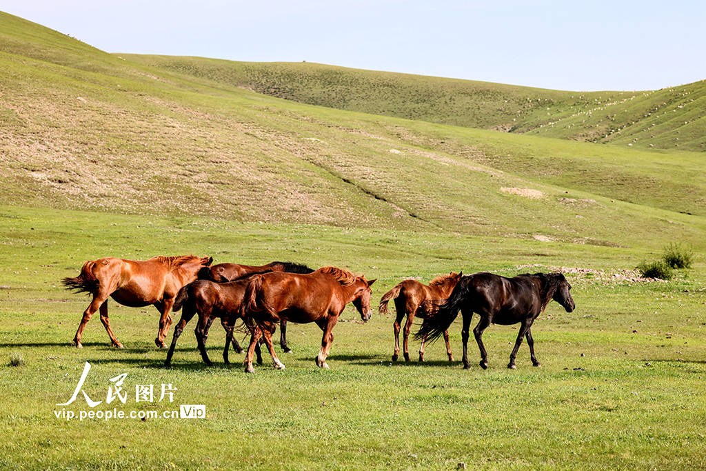 后插动图 还是后插动图代码位置