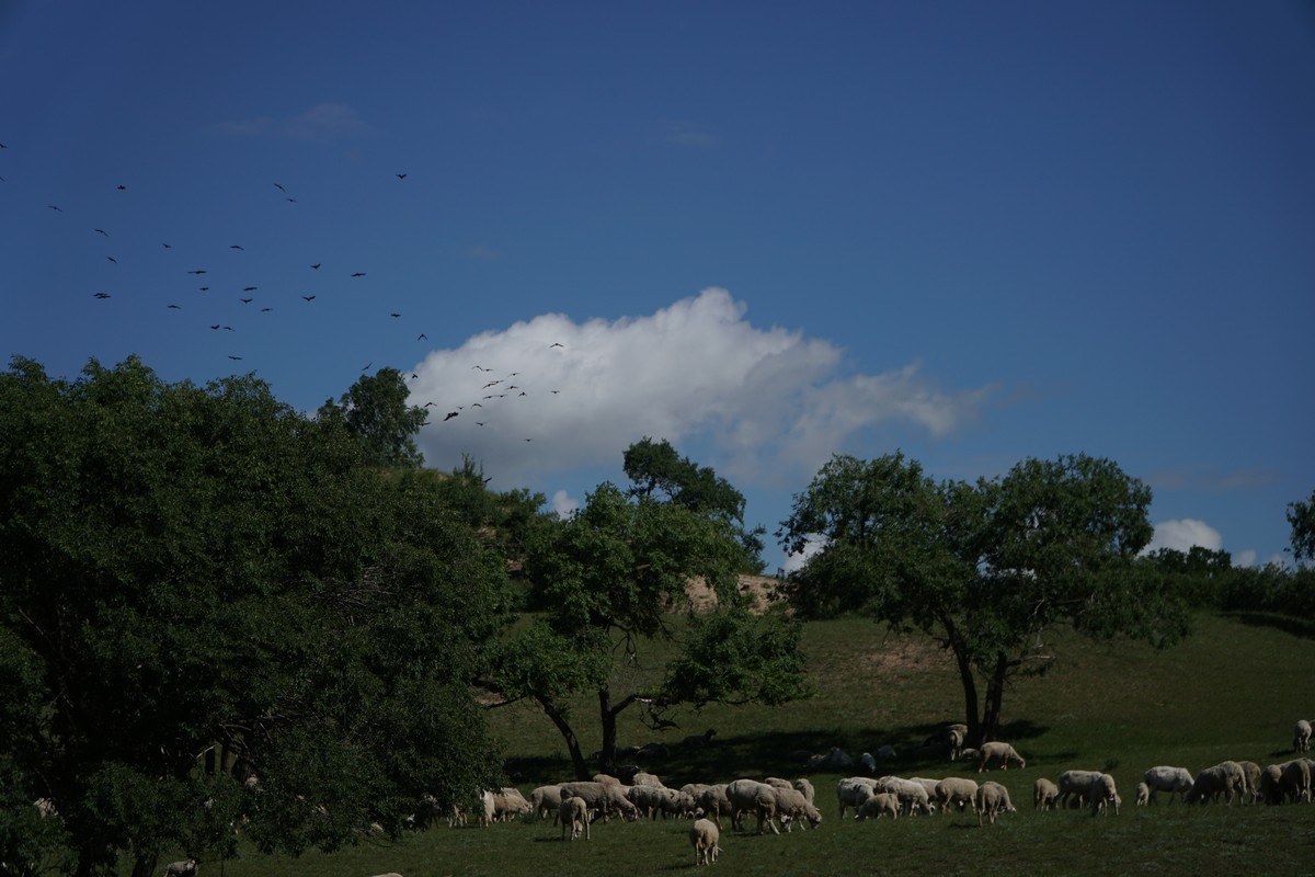 男同频道 男同频道如果你有其他问题