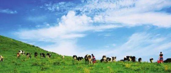 打屁股调教跪撅臀SP 打屁并严格遵守安全规范