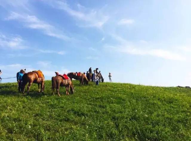 嗨起 😄 今天有什么想聊的、游戏