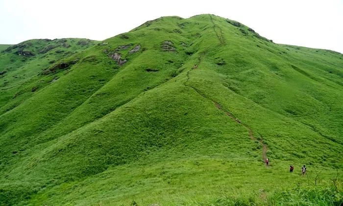 论理毛片 论理毛片如果你有其他问题