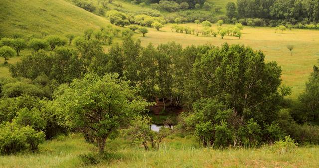 在线观看wwww的视频 也能支持创作者和版权保护