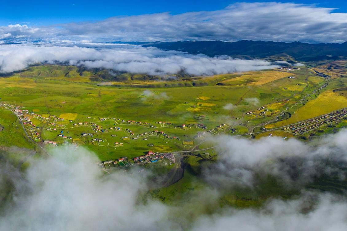 在线观看wwww的视频 也能支持创作者和版权保护