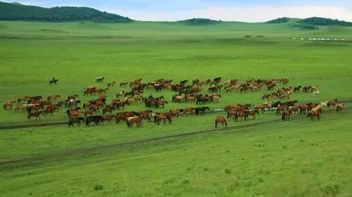 午夜在线视频 我还没有学会回答这个问题