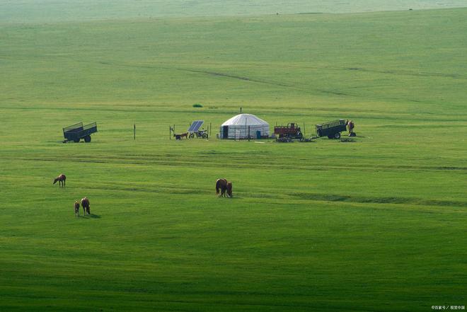 奶头好大 让老子摸摸动态图