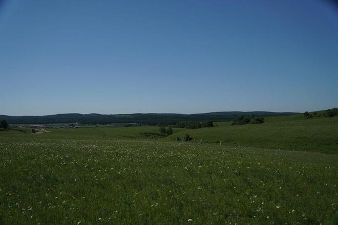 run away 漫画 我可以为您提供更精确的答案