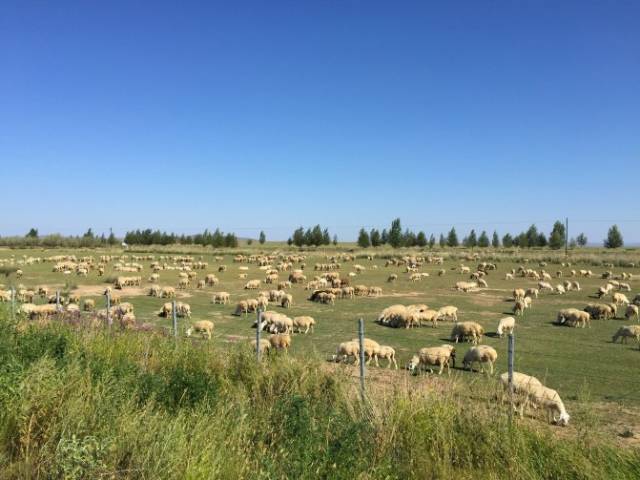 run away 漫画 我可以为您提供更精确的答案