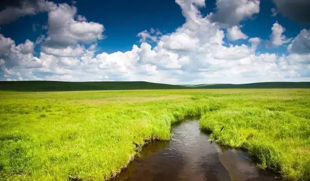 10大污软件下载 健康的软件网络环境