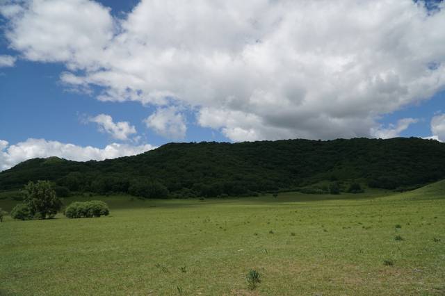 国产精品香蕉在线观看网址