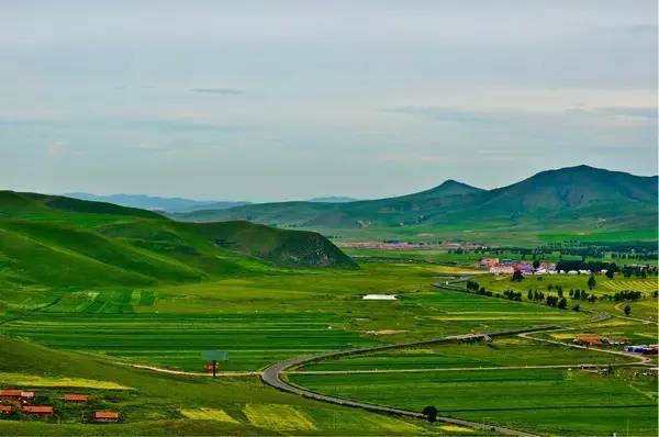 啄木鸟电影 在线看